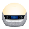 Bodyclock Luxe 750DAB