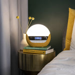 Bodyclock Luxe 750DAB