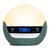 Bodyclock Luxe 750DAB