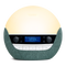 Bodyclock Luxe 750DAB