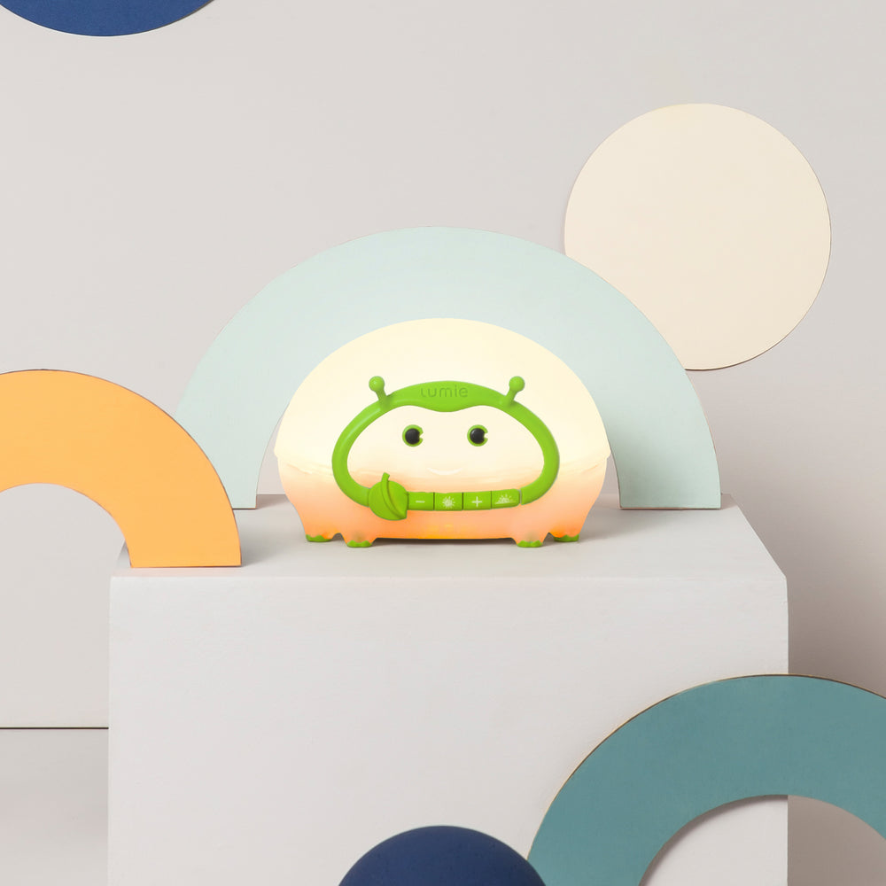 Bedbug