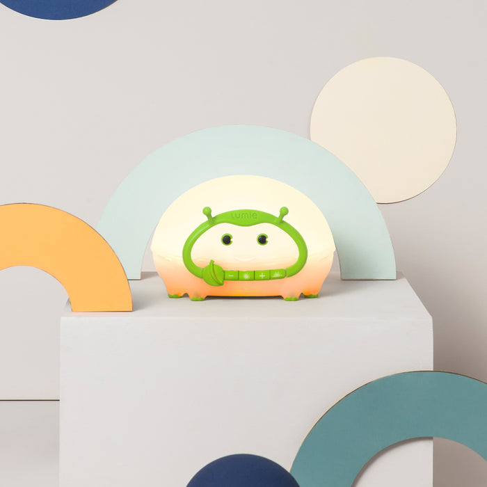 Bedbug