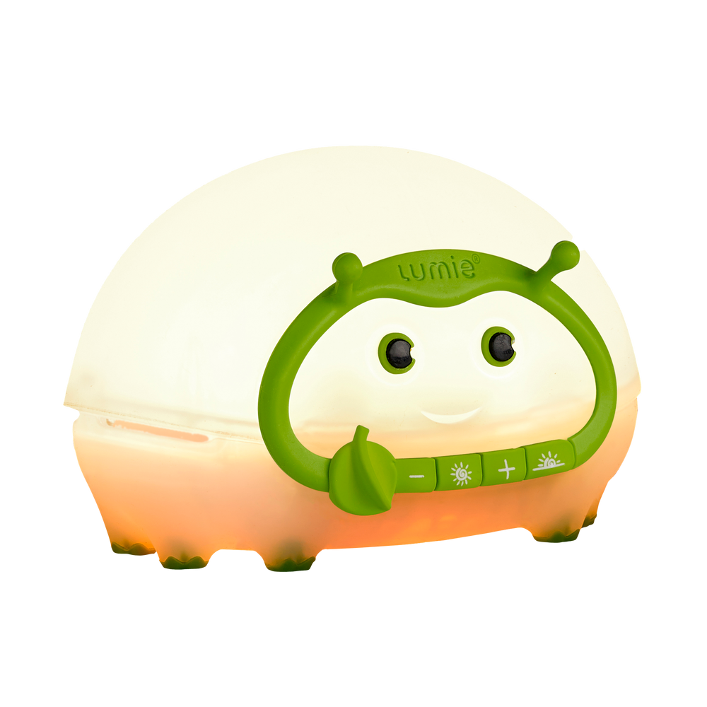 Bedbug