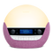 Bodyclock Luxe 750DAB