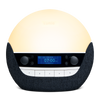 Bodyclock Luxe 750DAB