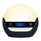 Bodyclock Luxe 750DAB