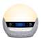 Bodyclock Luxe 750DAB