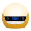 Bodyclock Luxe 750DAB