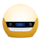 Bodyclock Luxe 750DAB