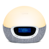 Bodyclock Shine 300 US