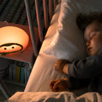 Bedbug