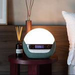 Bodyclock Luxe 750DAB